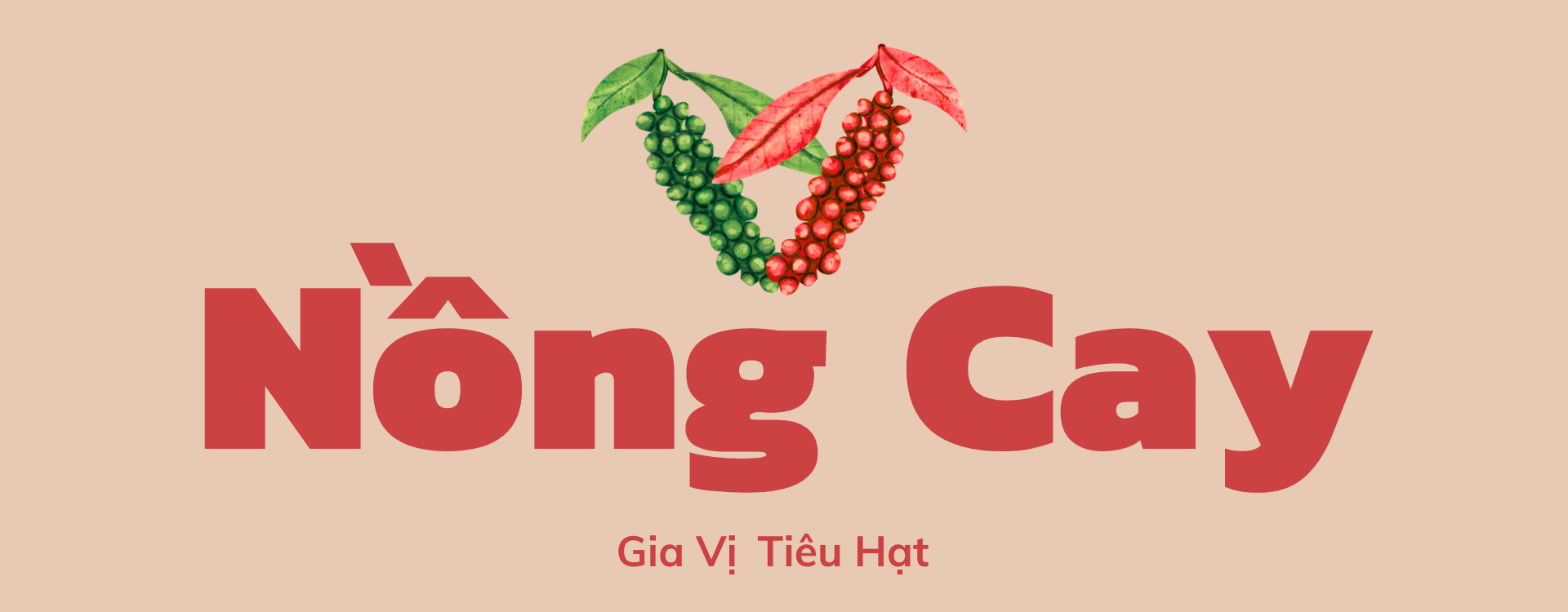 Tiêu đen hạt Gia Lai